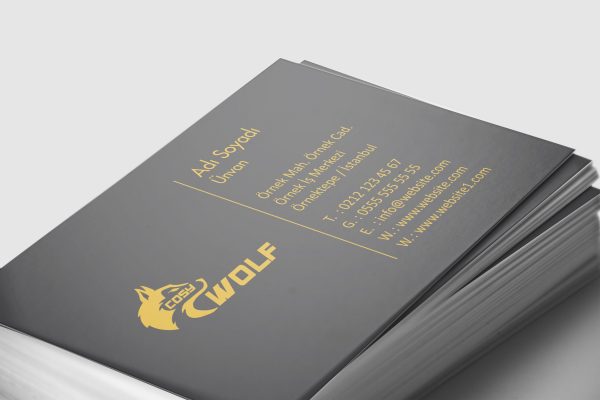 kabartmalak4.jpg